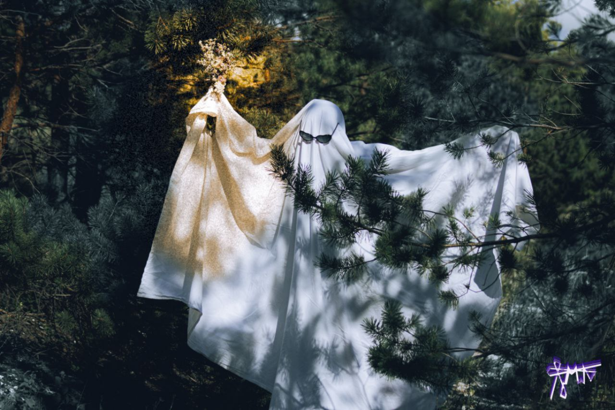 В кадр попал призрак👻 | Сетка — социальная сеть от hh.ru