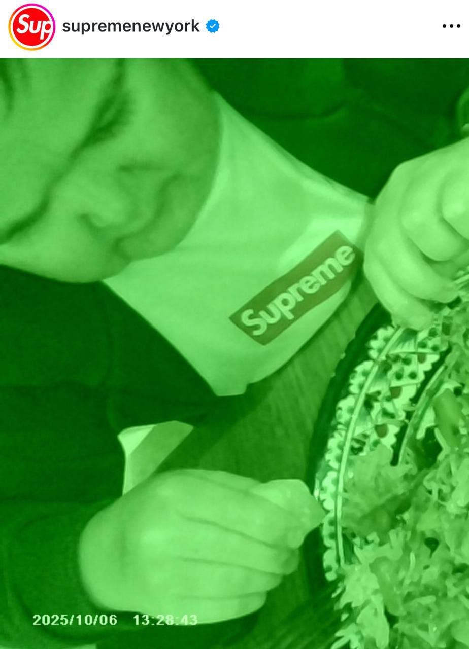 Лол, Хасбик стал амбассадором Supreme и снялся в их рекламе брелоков со встроенной МИНИ-камерой.
Бренд выложил фотки в официальном аккаунте — эти снимки сделал сам Хасбулла на устройство | Сетка — социальная сеть от hh.ru