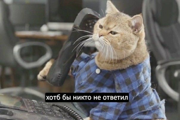Начинать поиск работы всегда не просто | Сетка — социальная сеть от hh.ru