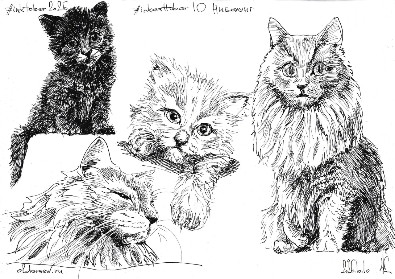 #inkcattober 10 — #Нибелунг. Редкая порода домашних кошек. Считается длинношёрстным вариантом русской голубой кошки. Окрас шерсти и подшёрстка — голубой | Сетка — социальная сеть от hh.ru