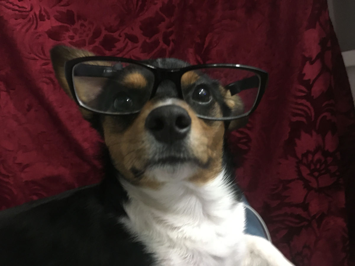 Как дойти до реального собеса, а не упереться в стену | Сетка — социальная сеть от hh.ru