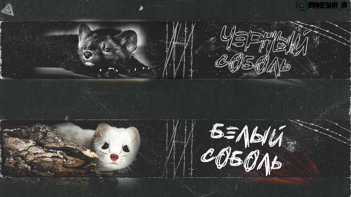 Previews, intros, screensavers (2018-2020) by ccearts | Сетка — социальная сеть от hh.ru