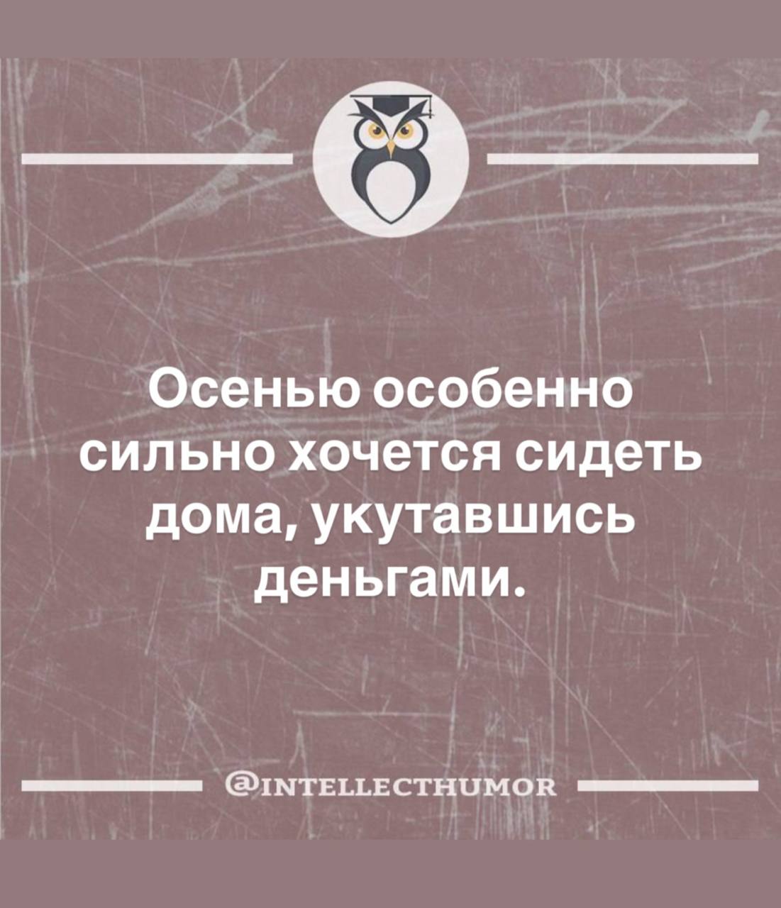 Мемная пятница 🤡
Жду вас в комментах 👌 | Сетка — социальная сеть от hh.ru