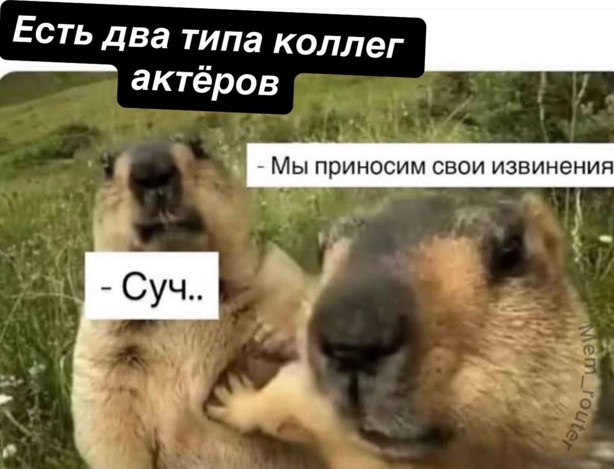 Я вас очень люблю, но не удержалась ❤️ | Сетка — социальная сеть от hh.ru