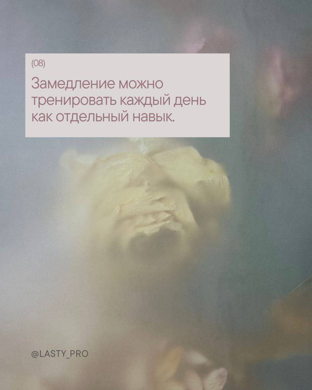 Иногда всё вокруг несётся так быстро, что даже мысли начинают запинаться о собственные шаги, и именно тогда стоит остановиться – вдохнуть глубже, почувствовать тело, дать нервной системе перевести дух | Сетка — социальная сеть от hh.ru