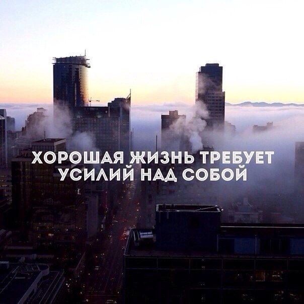 @statusday #БизнесМотивация | Сетка — социальная сеть от hh.ru