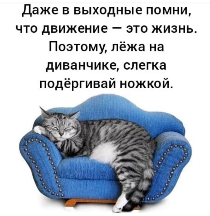 Объявляю - сегодня
СУББОТА
Выходной💃💃💃
А подсказка Вселенной уже в сторис | Сетка — социальная сеть от hh.ru