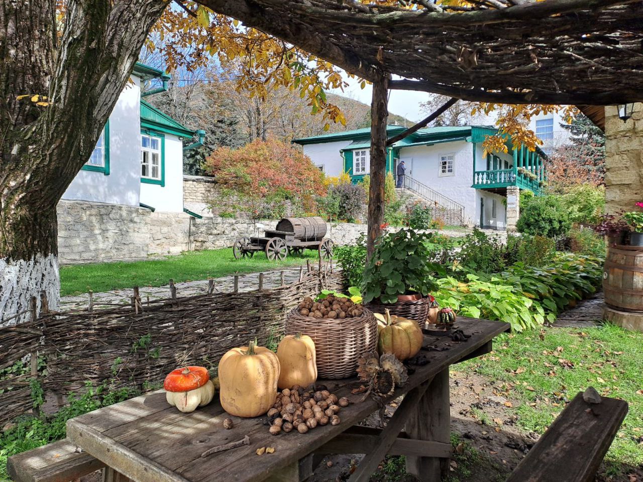 🍂Осенние мотивы
В пятигорском музее-заповеднике Лермонтова
📷 lermontovmuseum
📲 Что-то на Ставропольском в MAX | Сетка — социальная сеть от hh.ru