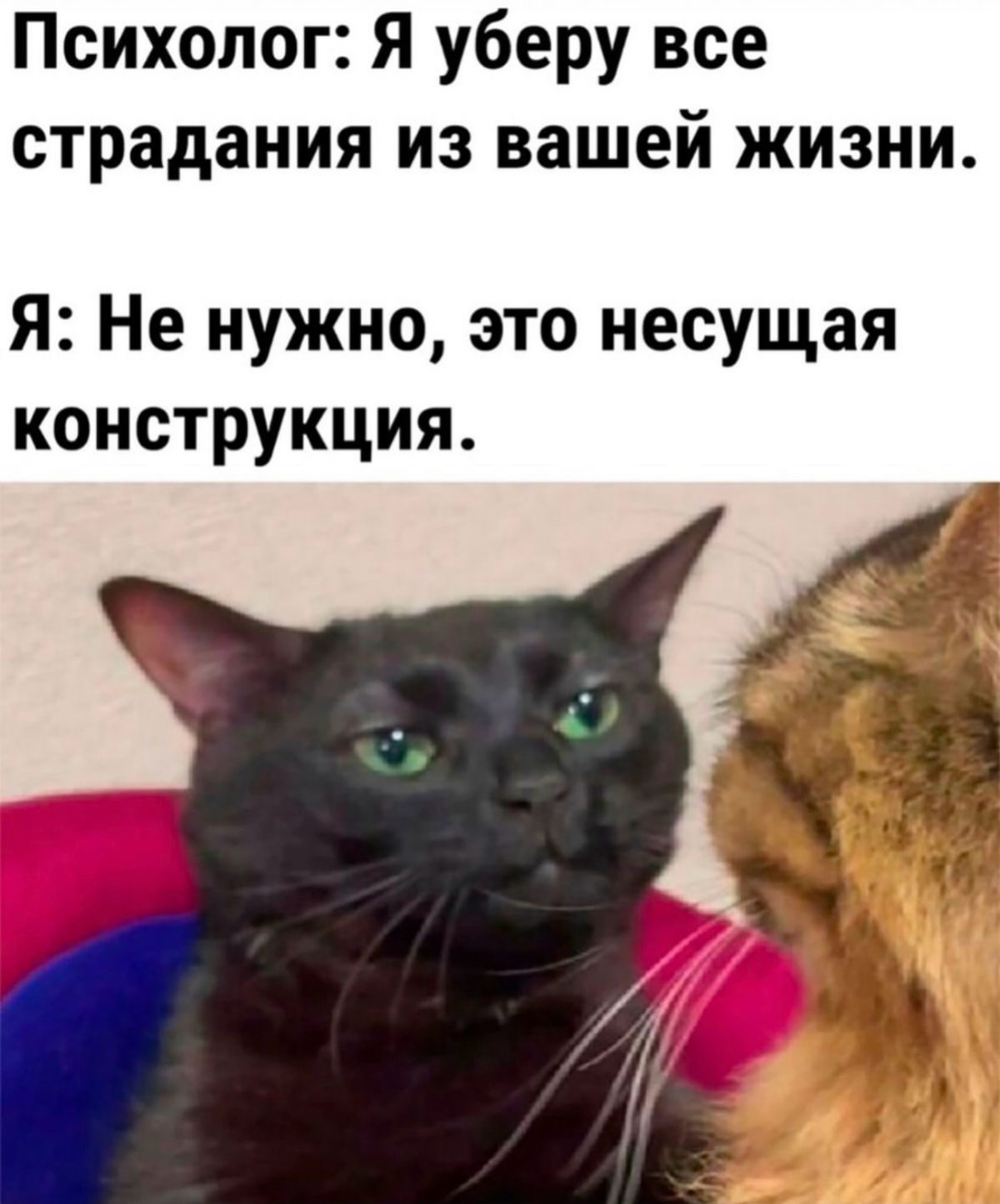 Мне предложили убрать страдания. | Сетка — социальная сеть от hh.ru