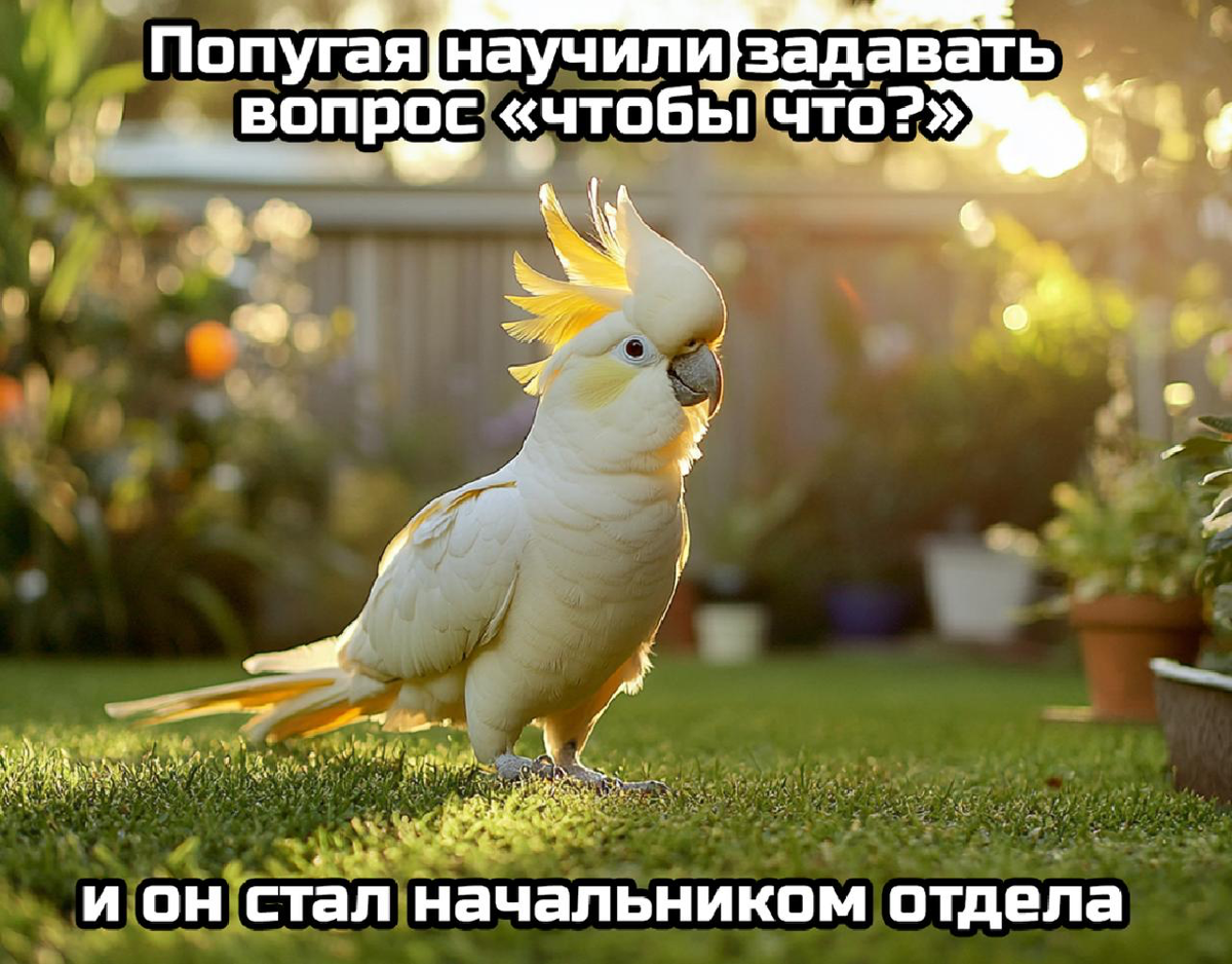 Последние 2,5 месяца пробую себя в новой роли и погружаюсь в тему корпоративного обучения - особенно в развитие управленцев | Сетка — социальная сеть от hh.ru