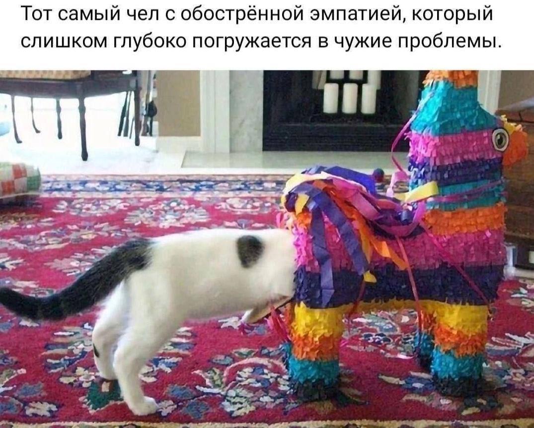 Я в двух мемах | Сетка — социальная сеть от hh.ru
