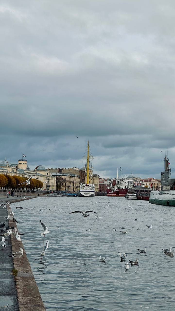 Моя самая спонтанная поездка в жизни - купила билеты в Петербург за пару часов до поезда.
Захотелось очень послушать Дельфина, а у него сегодня тут концерт | Сетка — социальная сеть от hh.ru