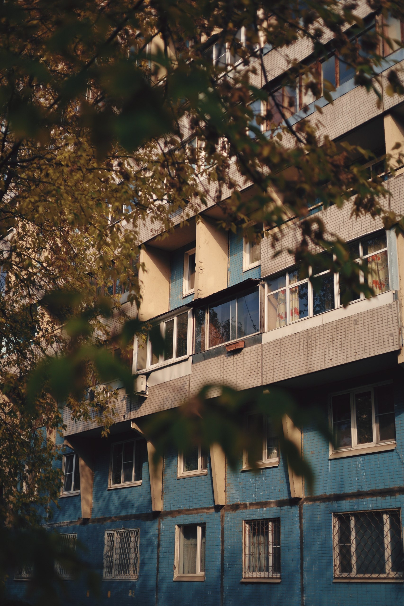 008/365 | Сетка — социальная сеть от hh.ru