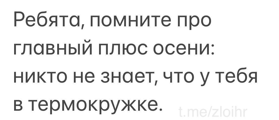 Ах да, сегодня же выходные, поэтому немного легкого и развлекательного контента в ленту 😁 (котики уже были 🐈) | Сетка — социальная сеть от hh.ru