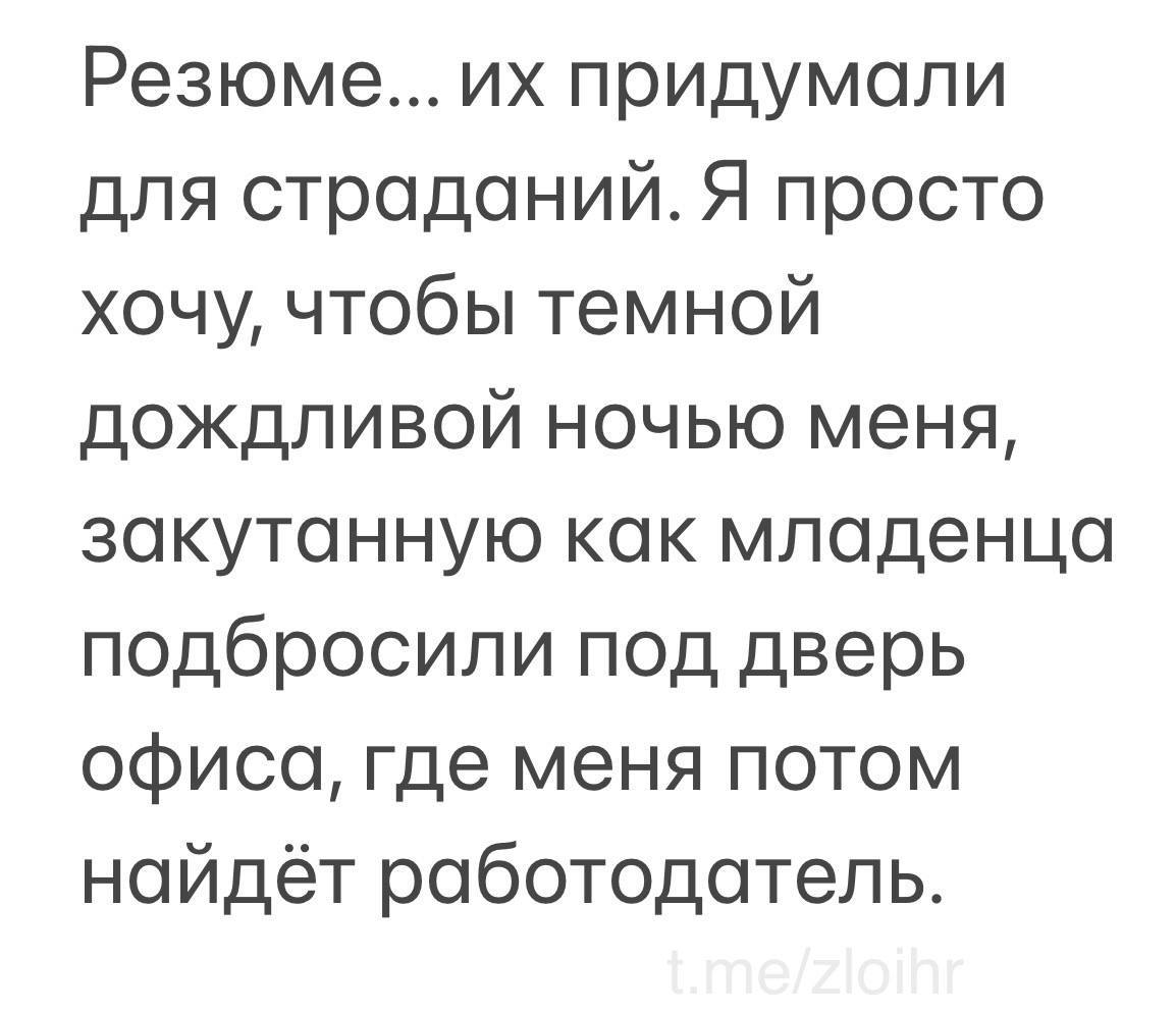 Ах да, сегодня же выходные, поэтому немного легкого и развлекательного контента в ленту 😁 (котики уже были 🐈) | Сетка — социальная сеть от hh.ru