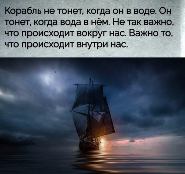@statusday #ЦитатыСтатус | Сетка — социальная сеть от hh.ru