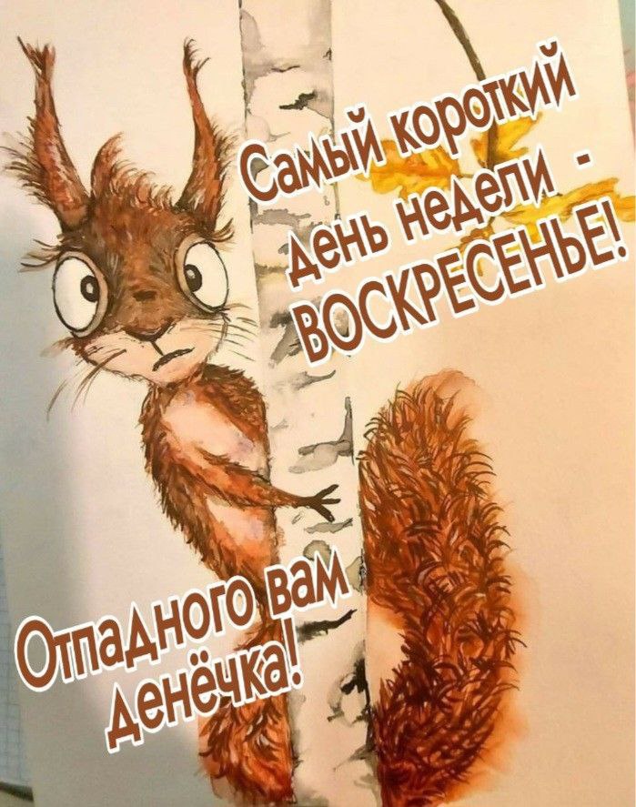 Сегодня воскресенье 👍
Безудержно отдыхаем, но помним, что завтра всеми любимый понедельник 😀
Подсказка Вселенной уже в сторис | Сетка — социальная сеть от hh.ru