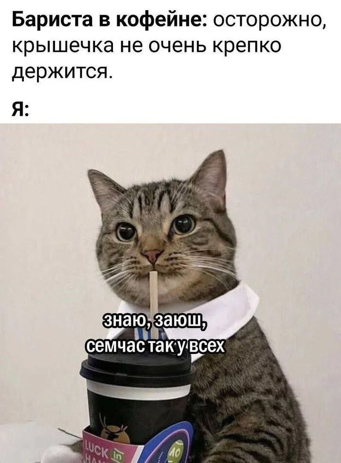 Есть ощущение, что осеннее обострение вступило в свою новую, более совершенную форму.
Берегите свои крышечки...
#хиханькихаханьки
@M3ybeev | Сетка — социальная сеть от hh.ru