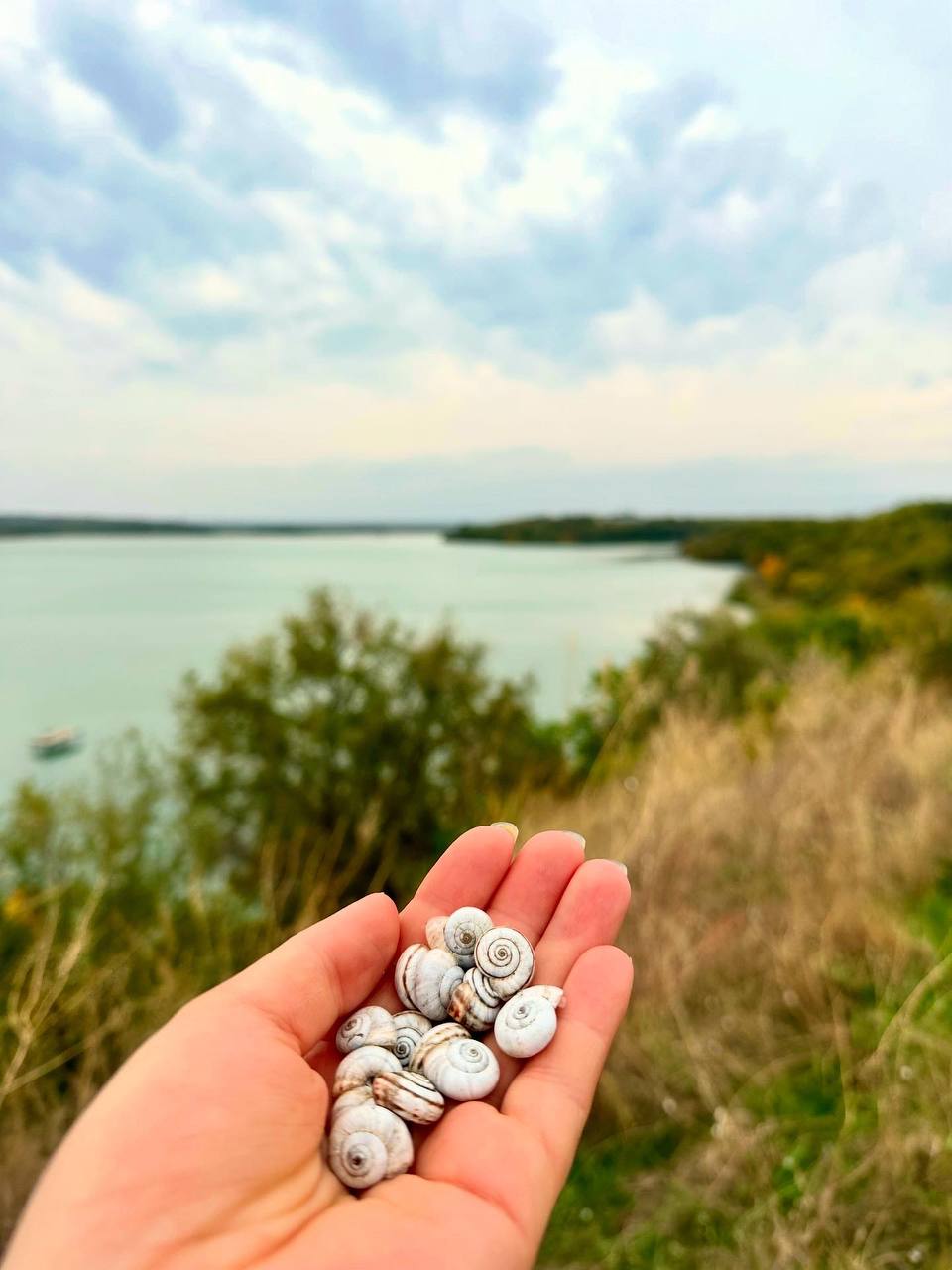 Пасмурный осенний день в Солнечнодольске🍁
📷 Natalyaphoto26stav
📲 Что-то на Ставропольском в MAX | Сетка — социальная сеть от hh.ru
