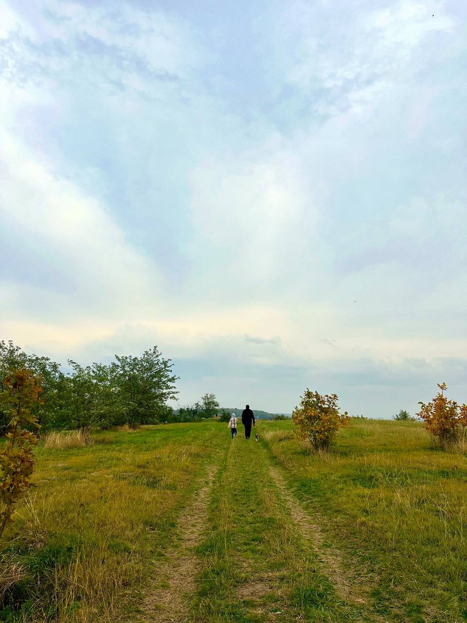Пасмурный осенний день в Солнечнодольске🍁
📷 Natalyaphoto26stav
📲 Что-то на Ставропольском в MAX | Сетка — социальная сеть от hh.ru
