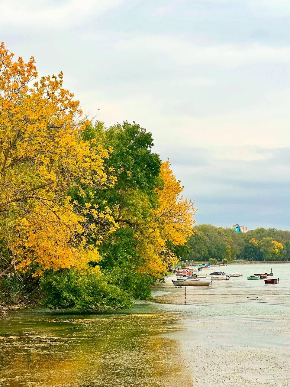 Пасмурный осенний день в Солнечнодольске🍁
📷 Natalyaphoto26stav
📲 Что-то на Ставропольском в MAX | Сетка — социальная сеть от hh.ru
