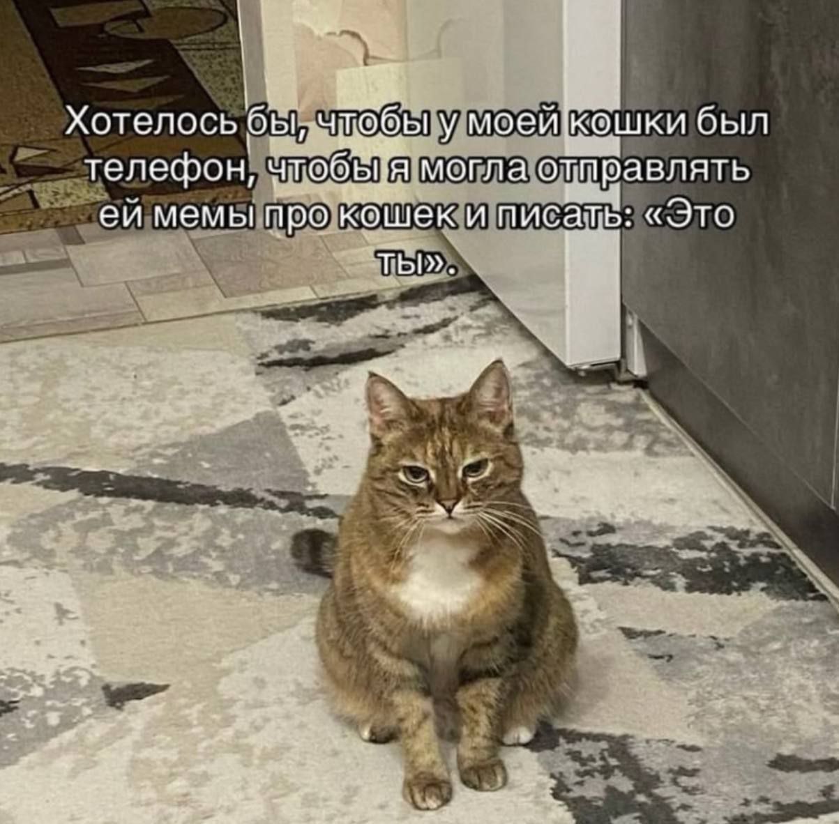 Было бы идеально 😂😂😂
#Юмор@poldner #Коты@poldner | Сетка — социальная сеть от hh.ru
