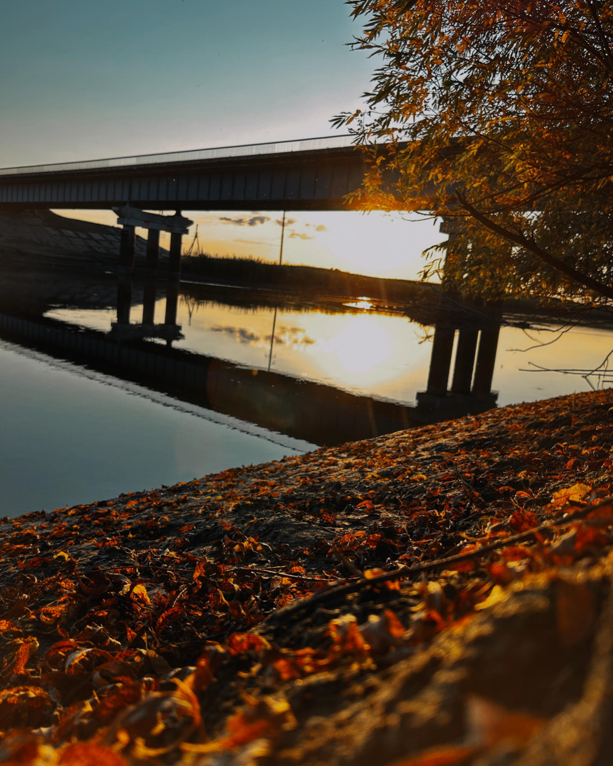 Моя робота на тематику осень 🍂🍁 | Сетка — социальная сеть от hh.ru