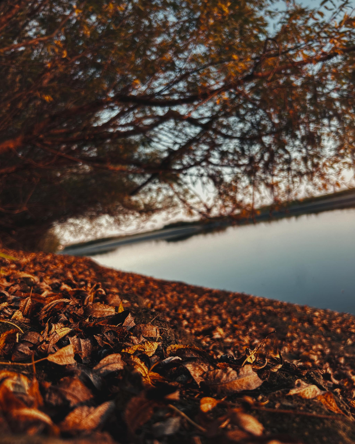 Моя робота на тематику осень 🍂🍁 | Сетка — социальная сеть от hh.ru