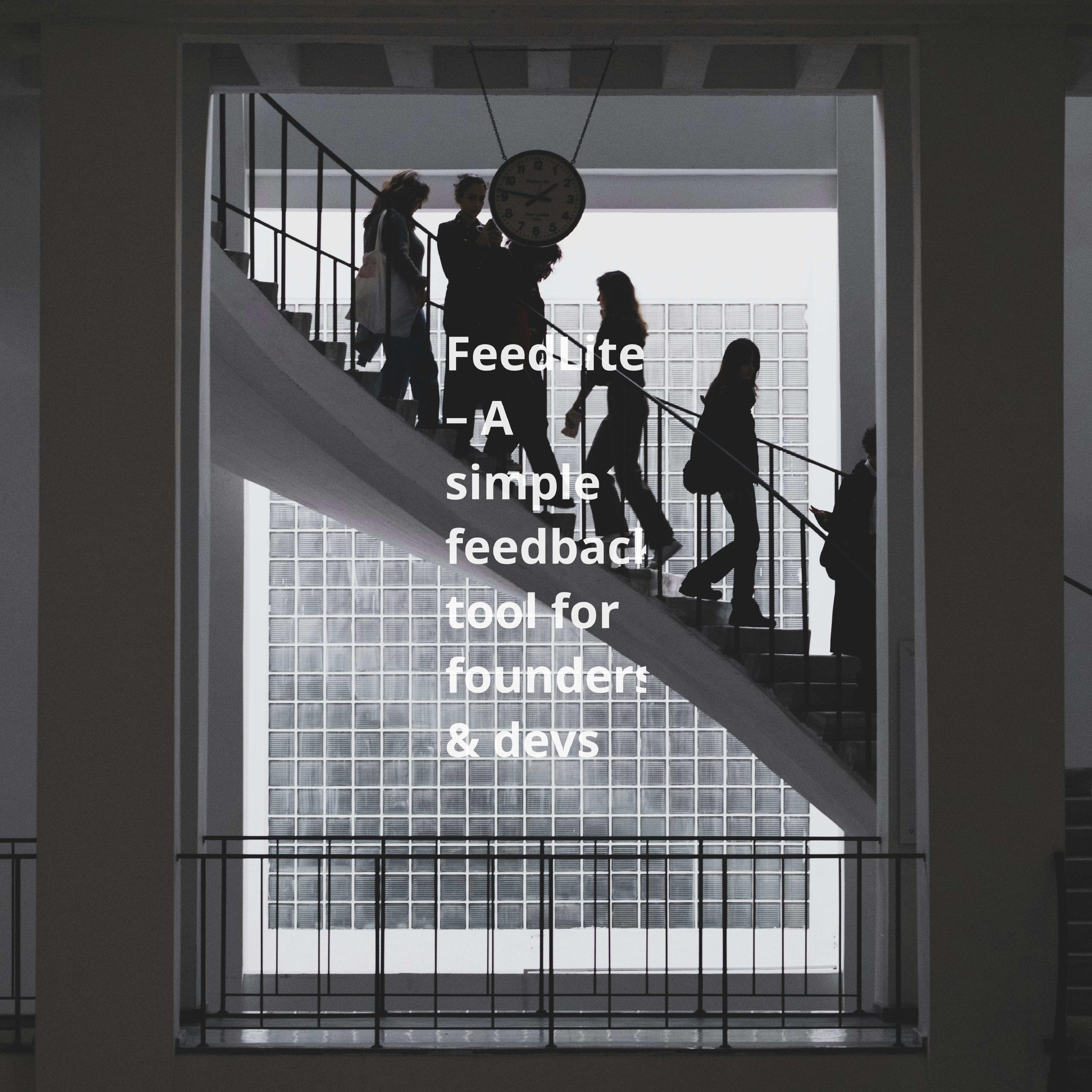 FeedLite – это простой инструмент для сбора отзывов, созданный для основателей и разработчиков | Сетка — социальная сеть от hh.ru