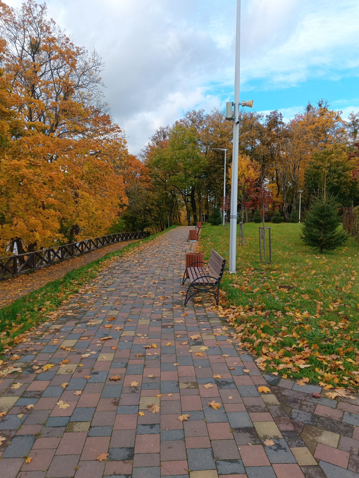 Золотая осень 🍁 | Сетка — социальная сеть от hh.ru