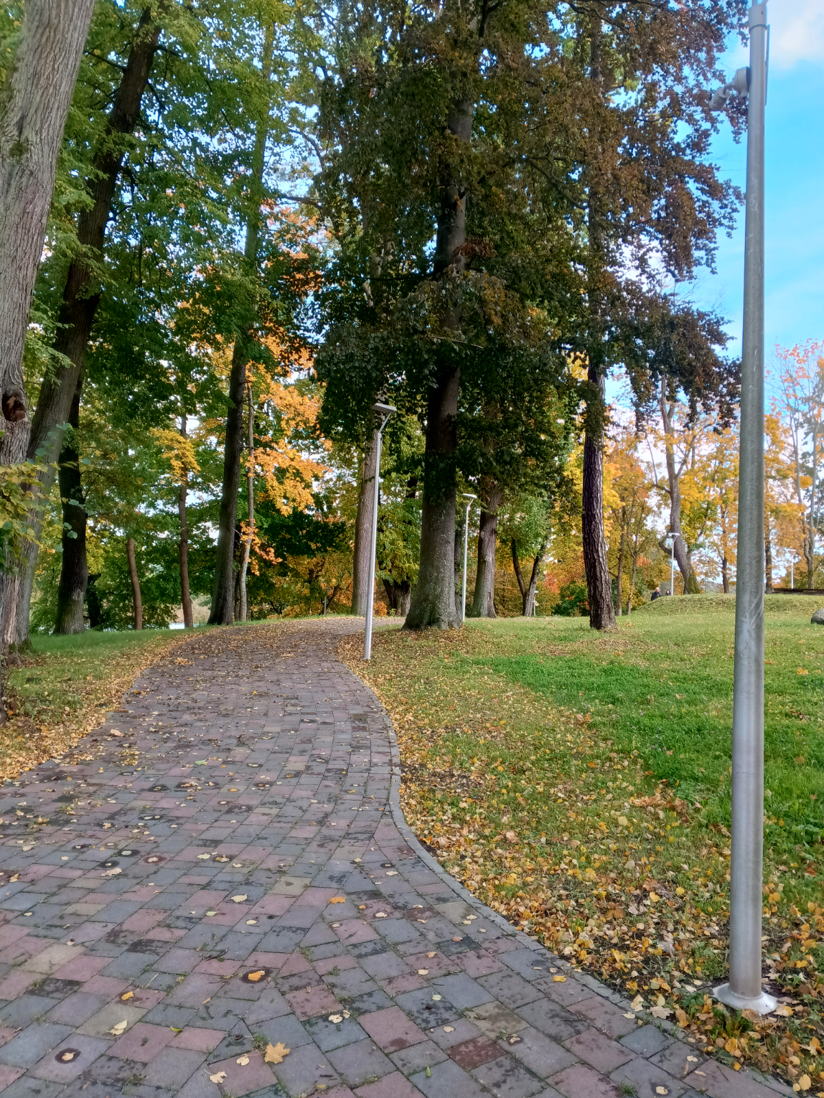Золотая осень 🍁 | Сетка — социальная сеть от hh.ru