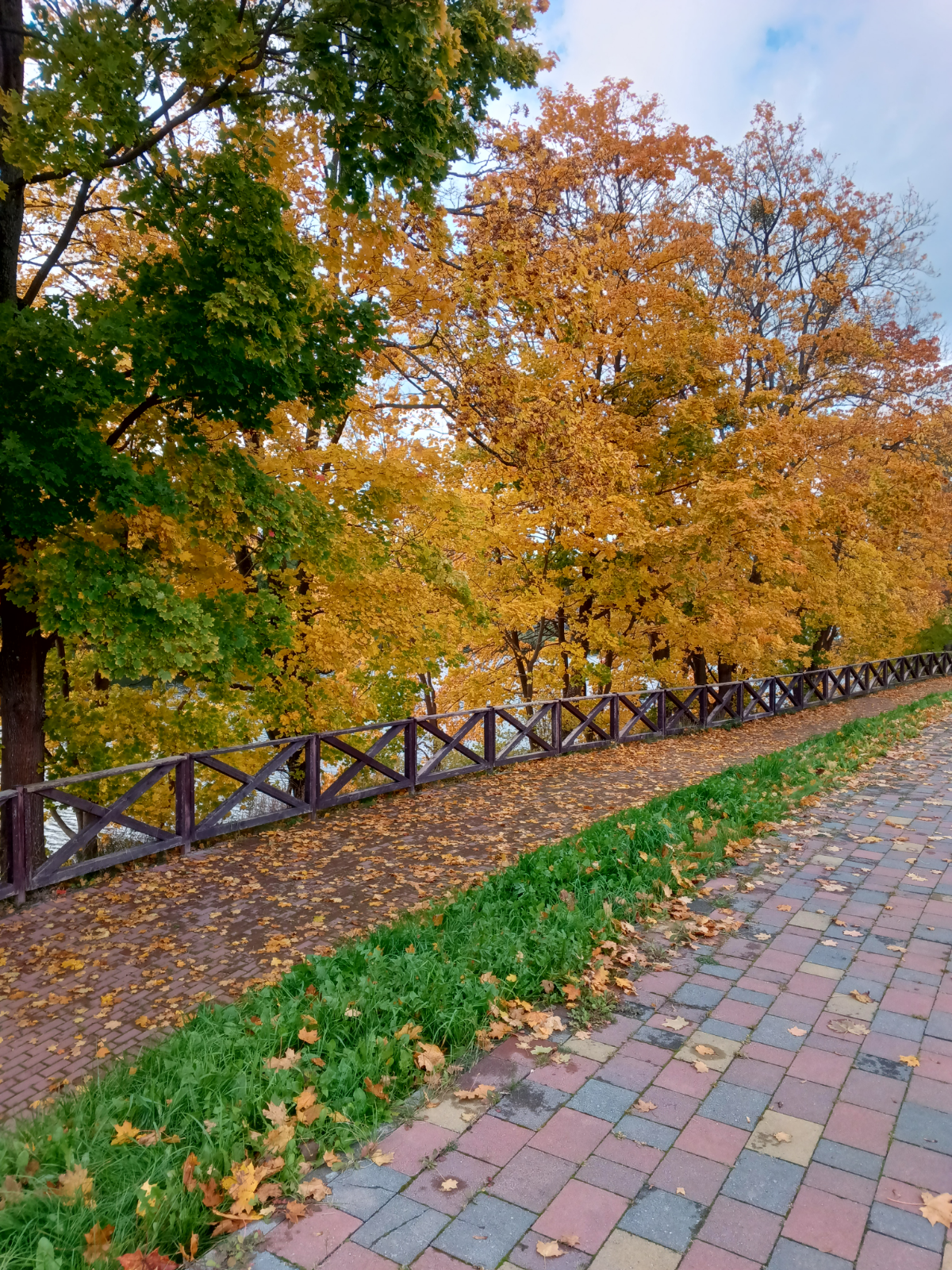 Золотая осень 🍁 | Сетка — социальная сеть от hh.ru
