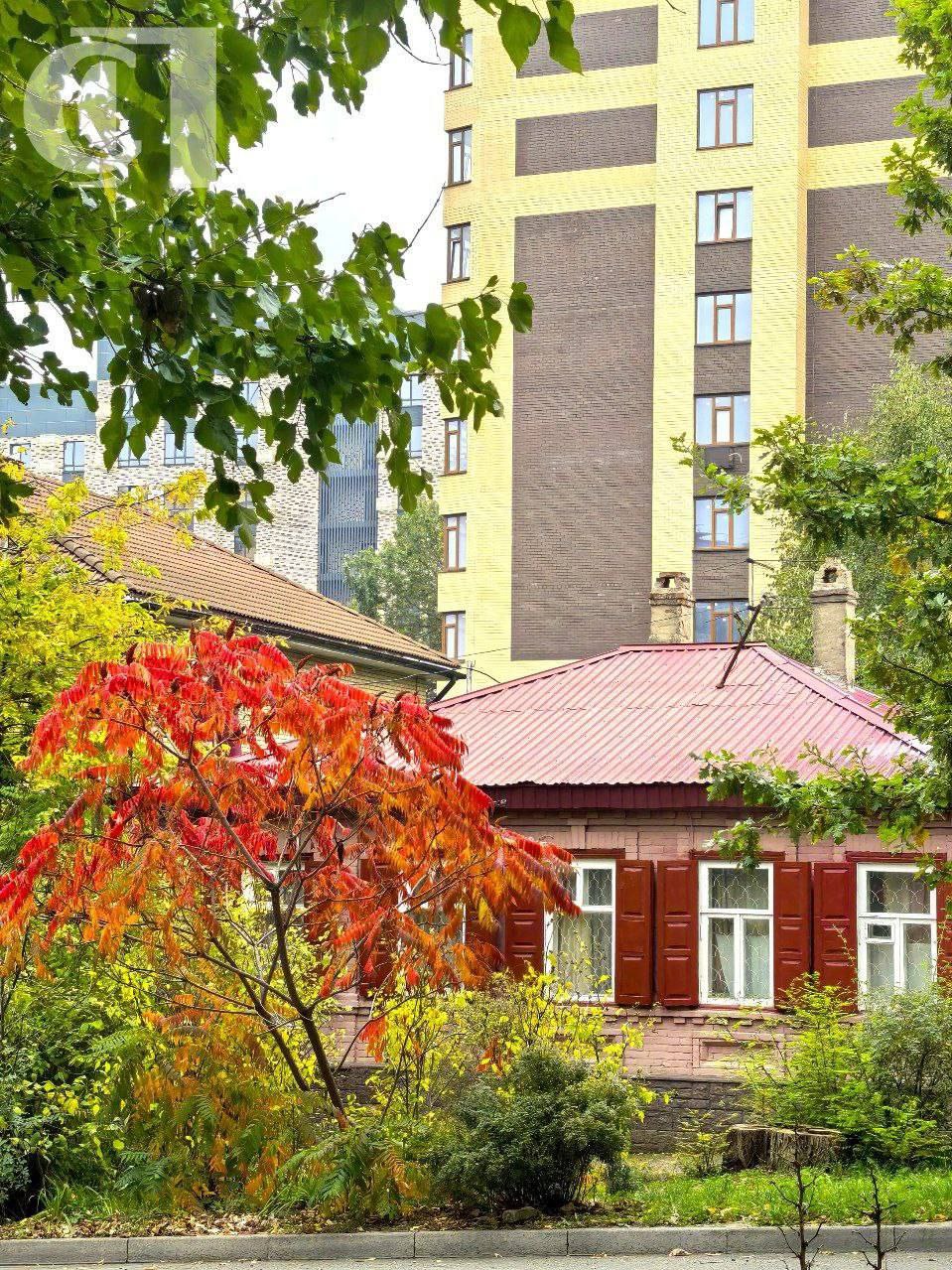 🍂 Золотая осень в Ставрополе
Любимое время для неспешной прогулки
📲 Что-то на Ставропольском в MAX | Сетка — социальная сеть от hh.ru