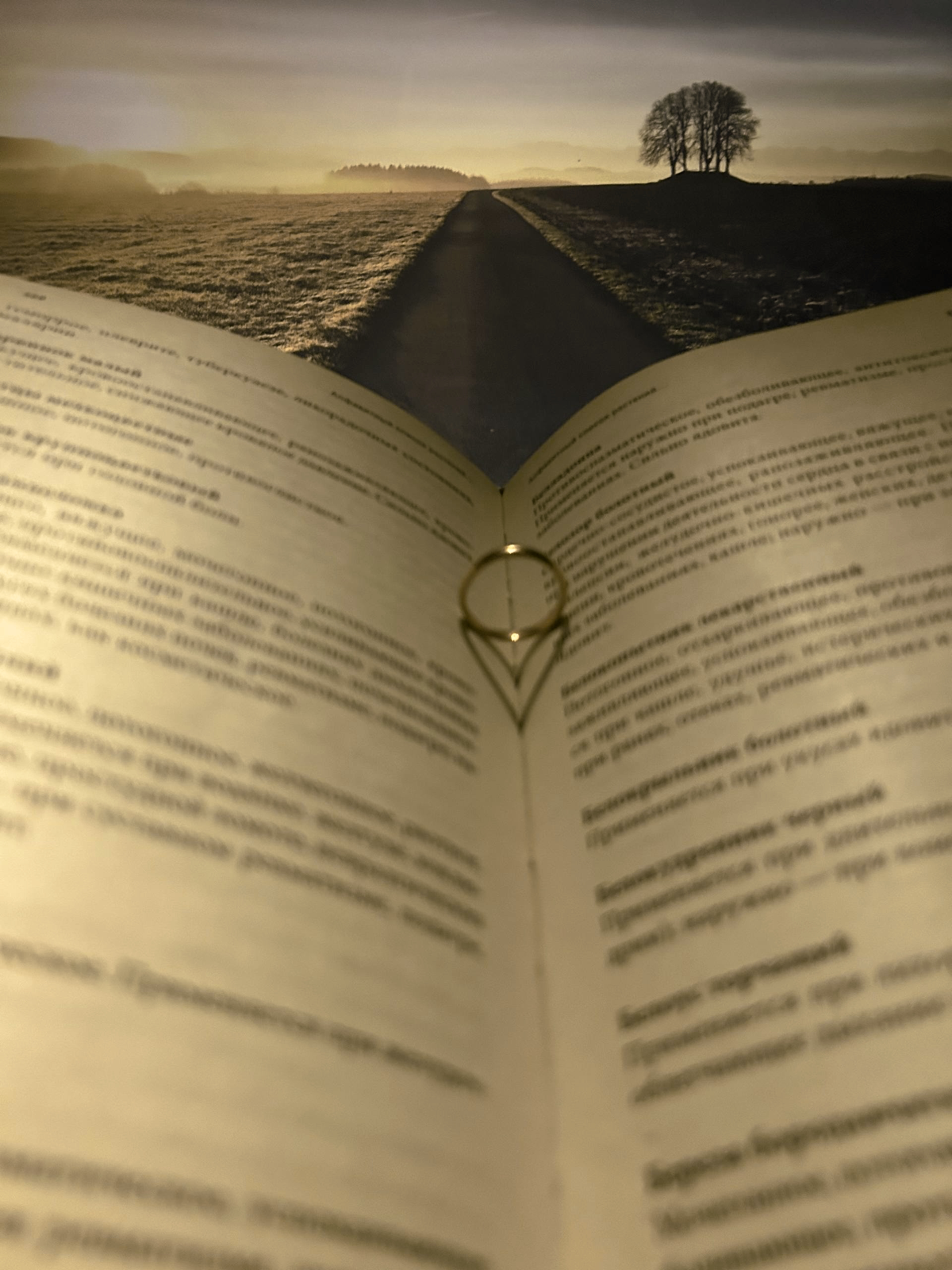 Любовь это дорога по которой нужно идти без прочитанных книг | Сетка — социальная сеть от hh.ru