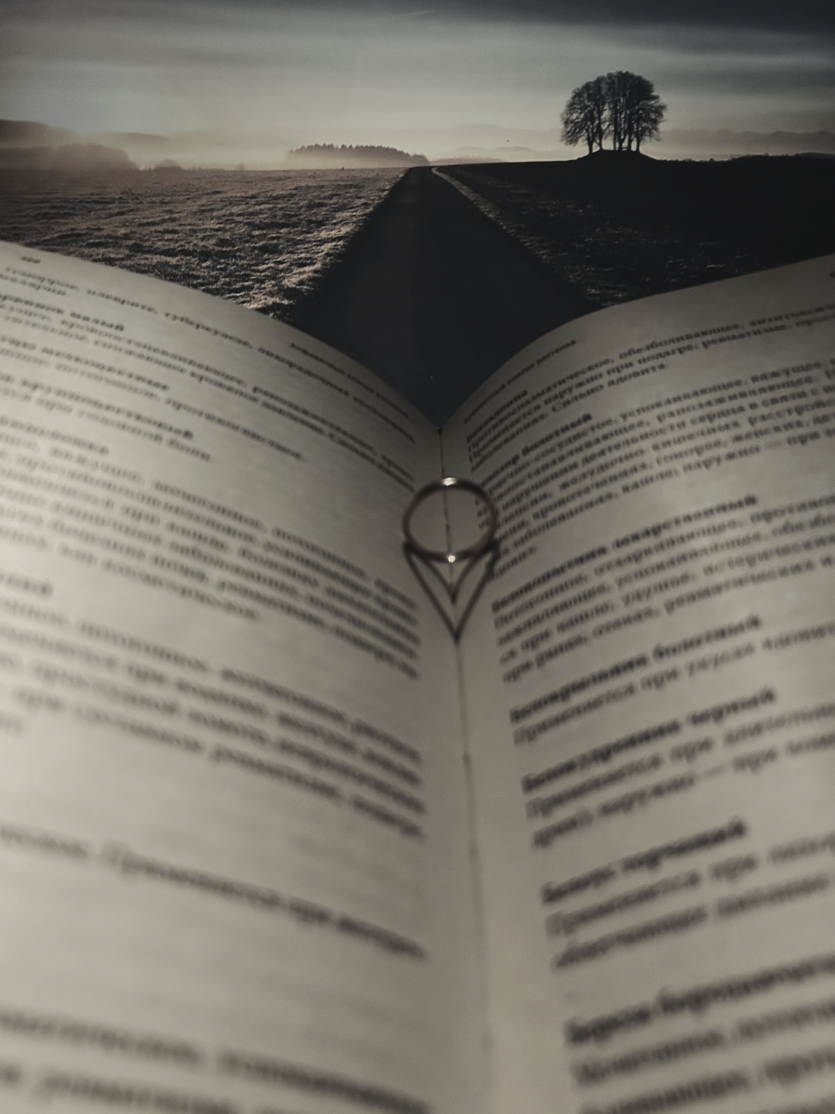 Любовь это дорога по которой нужно идти без прочитанных книг | Сетка — социальная сеть от hh.ru