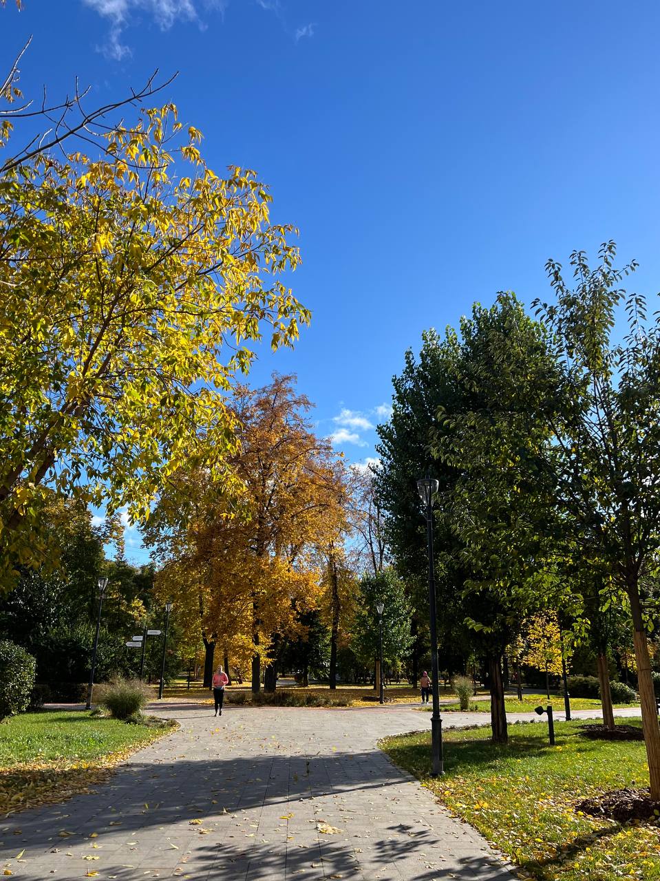 и удалось немного поромантизировать жизнь в 📍парке Декабрьского восстания
парк небольшой, уютный и ооочень красивый (из-за обилия деревьев с желтыми листочками)
так что рецепт романтизации прост | Сетка — социальная сеть от hh.ru