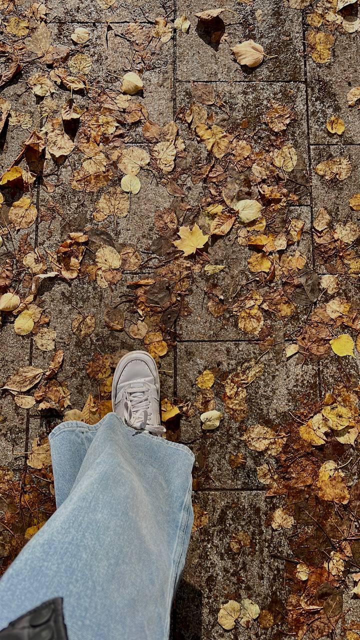 и удалось немного поромантизировать жизнь в 📍парке Декабрьского восстания
парк небольшой, уютный и ооочень красивый (из-за обилия деревьев с желтыми листочками)
так что рецепт романтизации прост | Сетка — социальная сеть от hh.ru