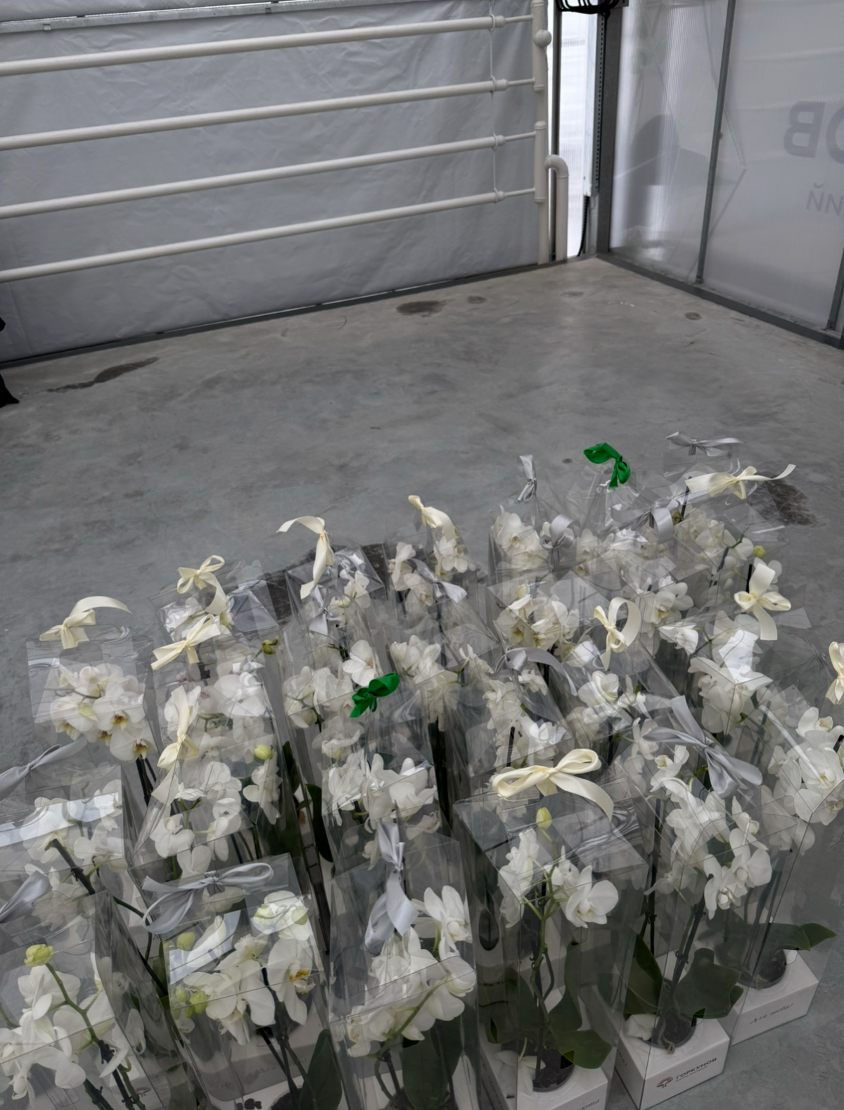 В плену у пиара 💔 | Сетка — социальная сеть от hh.ru