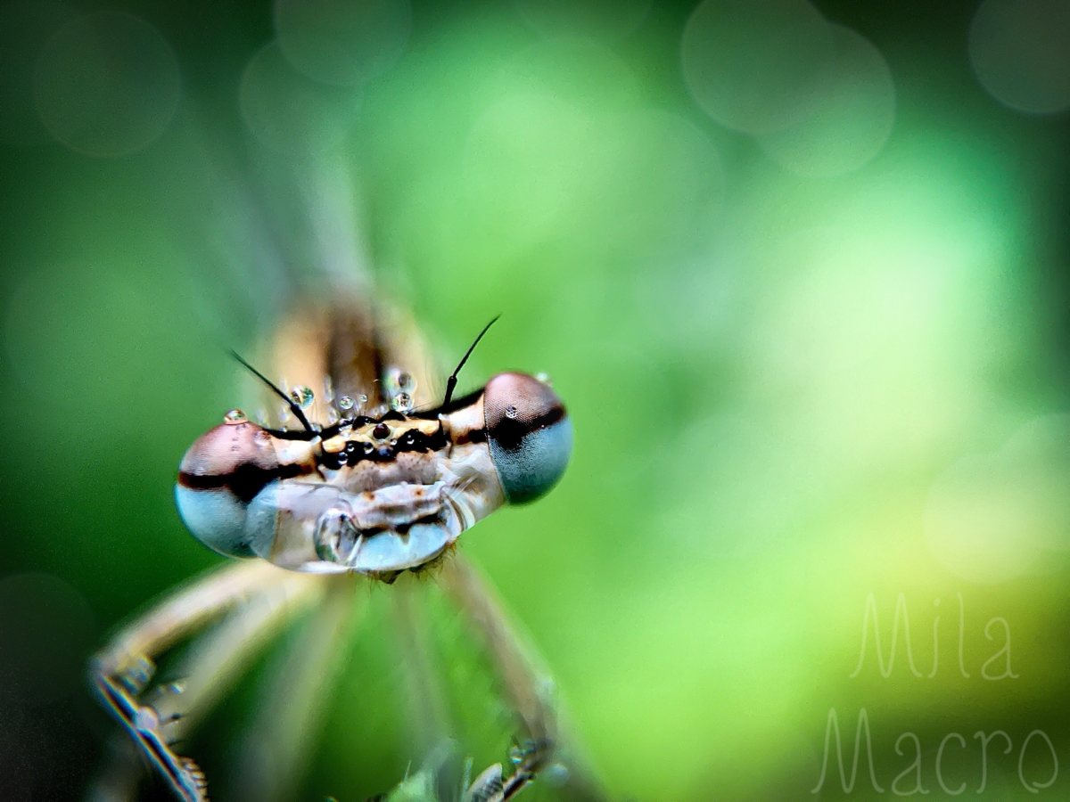 Взгляд на понедельник | Сетка — социальная сеть от hh.ru