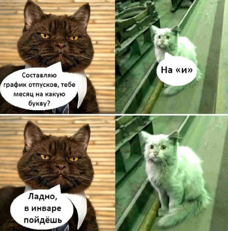 Словарный запас пополнился 😂
#Юмор@poldner #Коты@poldner | Сетка — социальная сеть от hh.ru