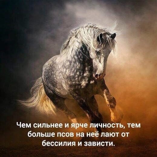 @statusday #ЦитатыСтатус | Сетка — социальная сеть от hh.ru