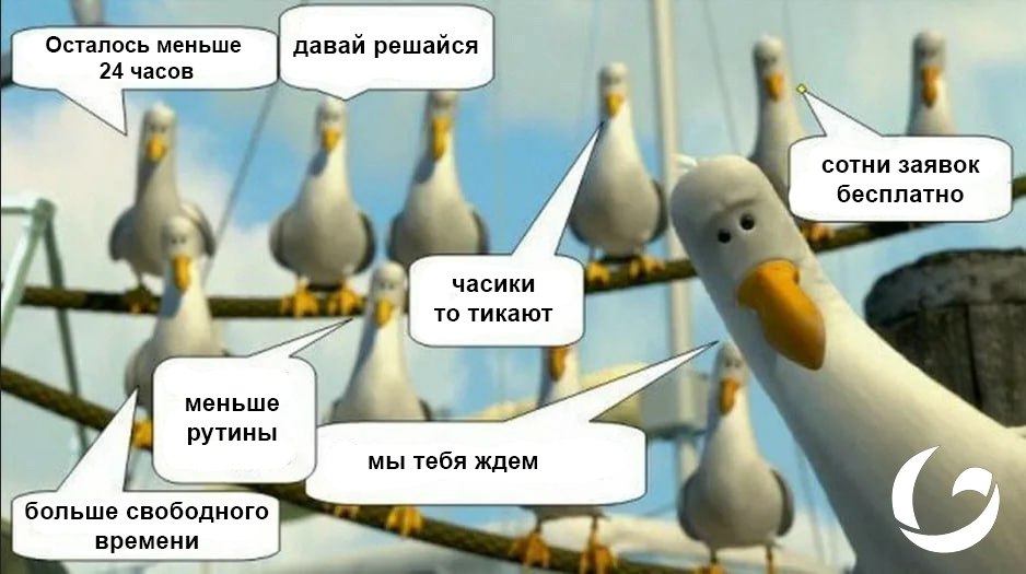 🔥 ОСТАЛСЯ 1 ДЕНЬ!
На прошлой неделе мы анонсировали акцию, приуроченную ко дню рождения основателя Golubin Bot | Сетка — социальная сеть от hh.ru