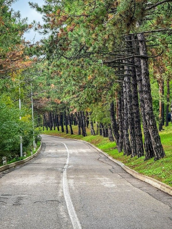 🐿Прогулка по Пятигорску
📷Олег Гольшев
📲 Что-то на Ставропольском в MAX | Сетка — социальная сеть от hh.ru