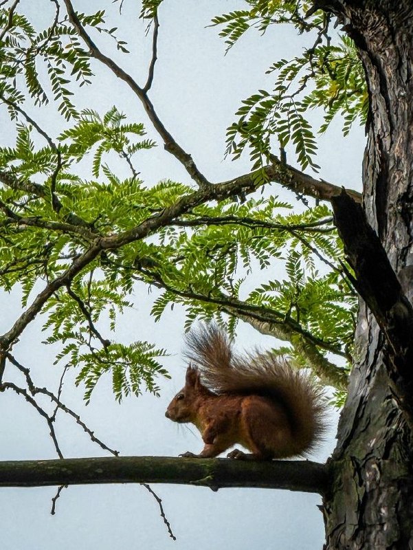 🐿Прогулка по Пятигорску
📷Олег Гольшев
📲 Что-то на Ставропольском в MAX | Сетка — социальная сеть от hh.ru