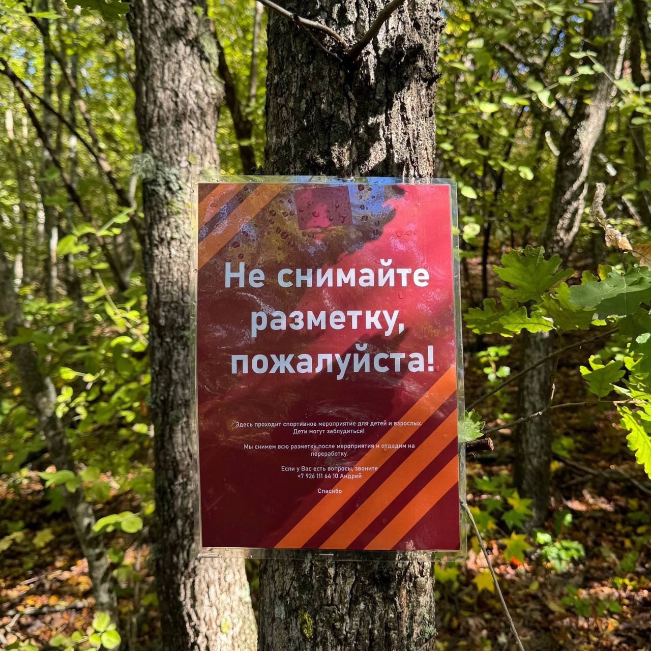 Кто-нибудь спросите меня кто из организаторов лучший на данный момент в беге?
И я отвечу 😁
Если смотреть со стороны PR и маркетинга, то в шоссейном беге будет однозначно команда TIMERMAN, которая повы... | Сетка — социальная сеть от hh.ru