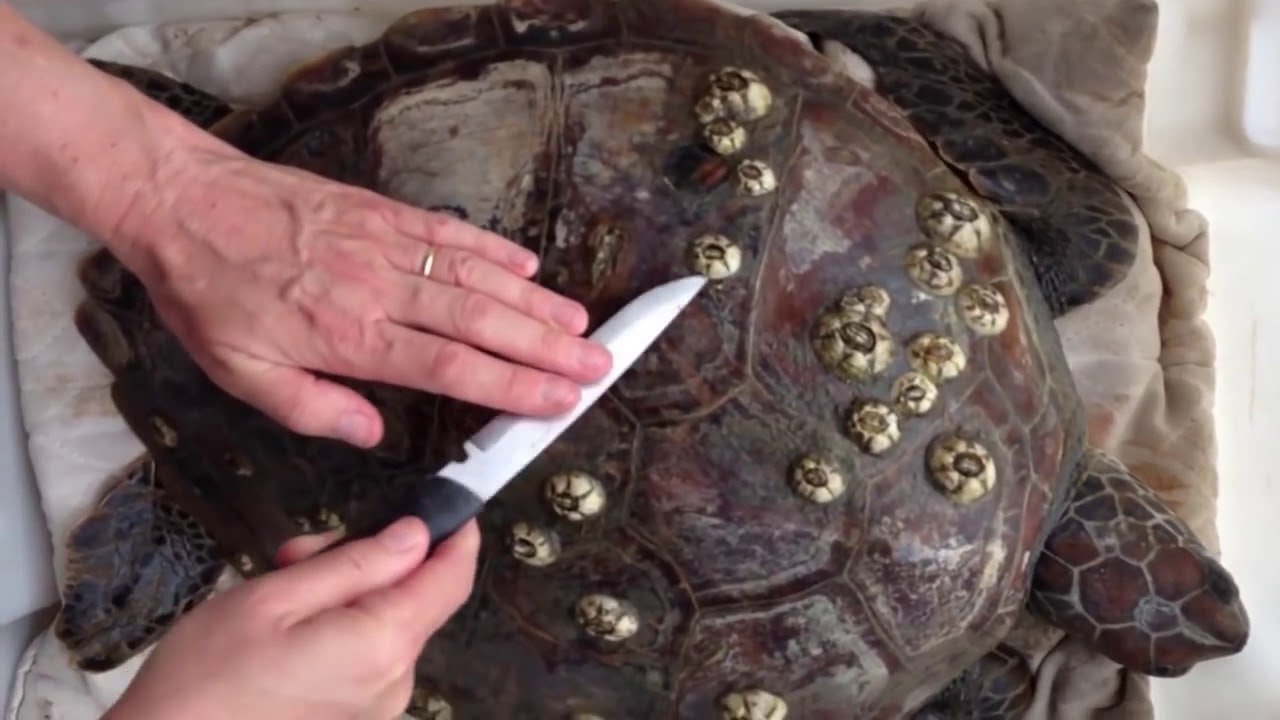 Немного охладил траханье и написал вредных советов, как сделать таск-трекер кладбищем для задач и самым ненавистным инструментом в компании | Сетка — социальная сеть от hh.ru