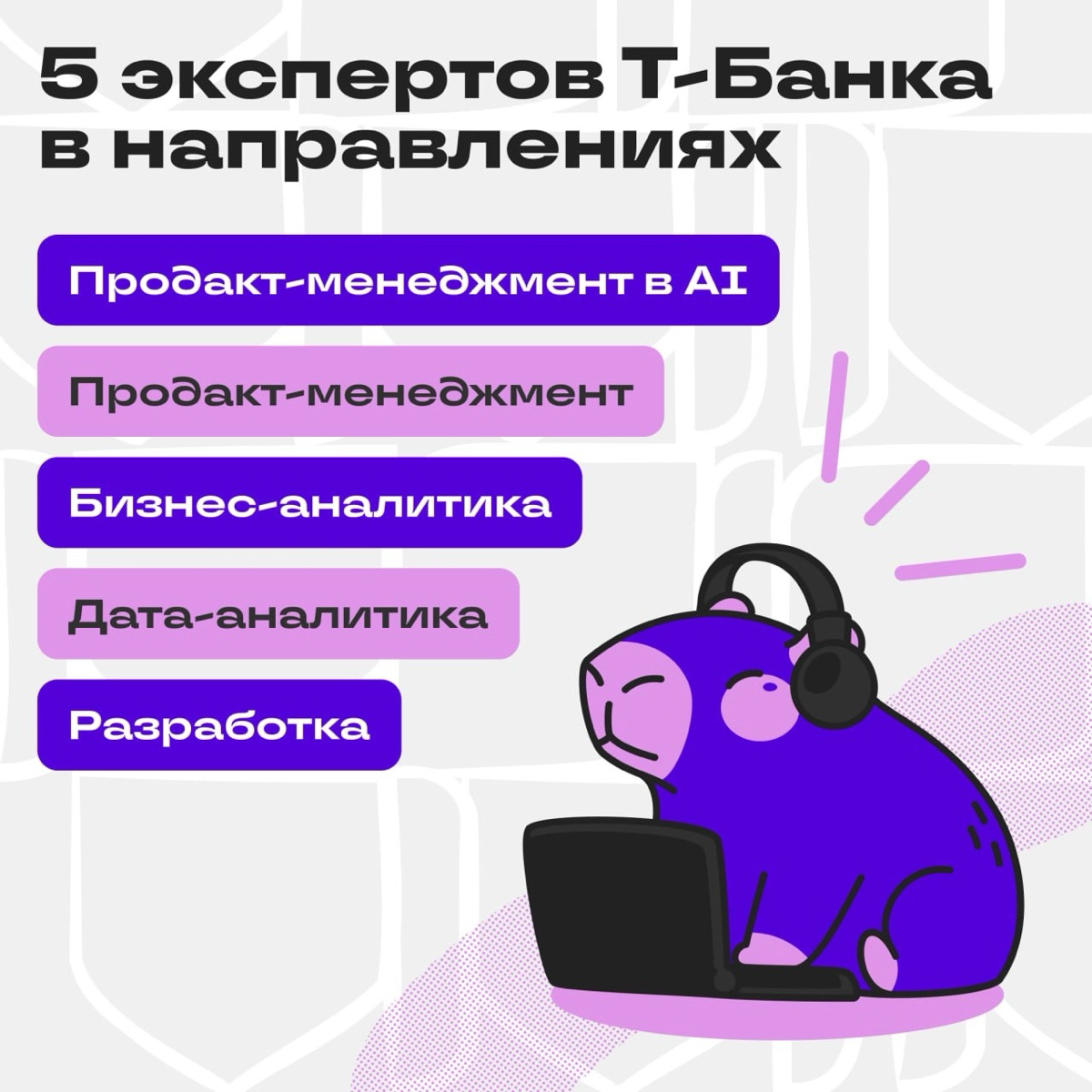 Большой ФРИ-собес от экспертов Т-Банка 💛 | Сетка — социальная сеть от hh.ru