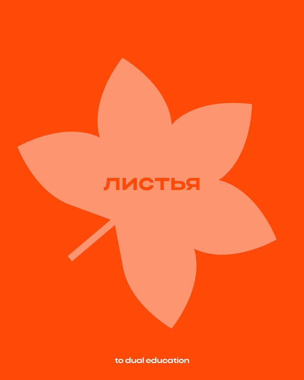 Осень — это про To Dual!
Ведь всё вокруг нашего основного корпоративного цвета🍁😍
Вайб имеется!
(пора признаться — оранжевый Айфон был создан в коллаборации с нашей командой) | Сетка — социальная сеть от hh.ru