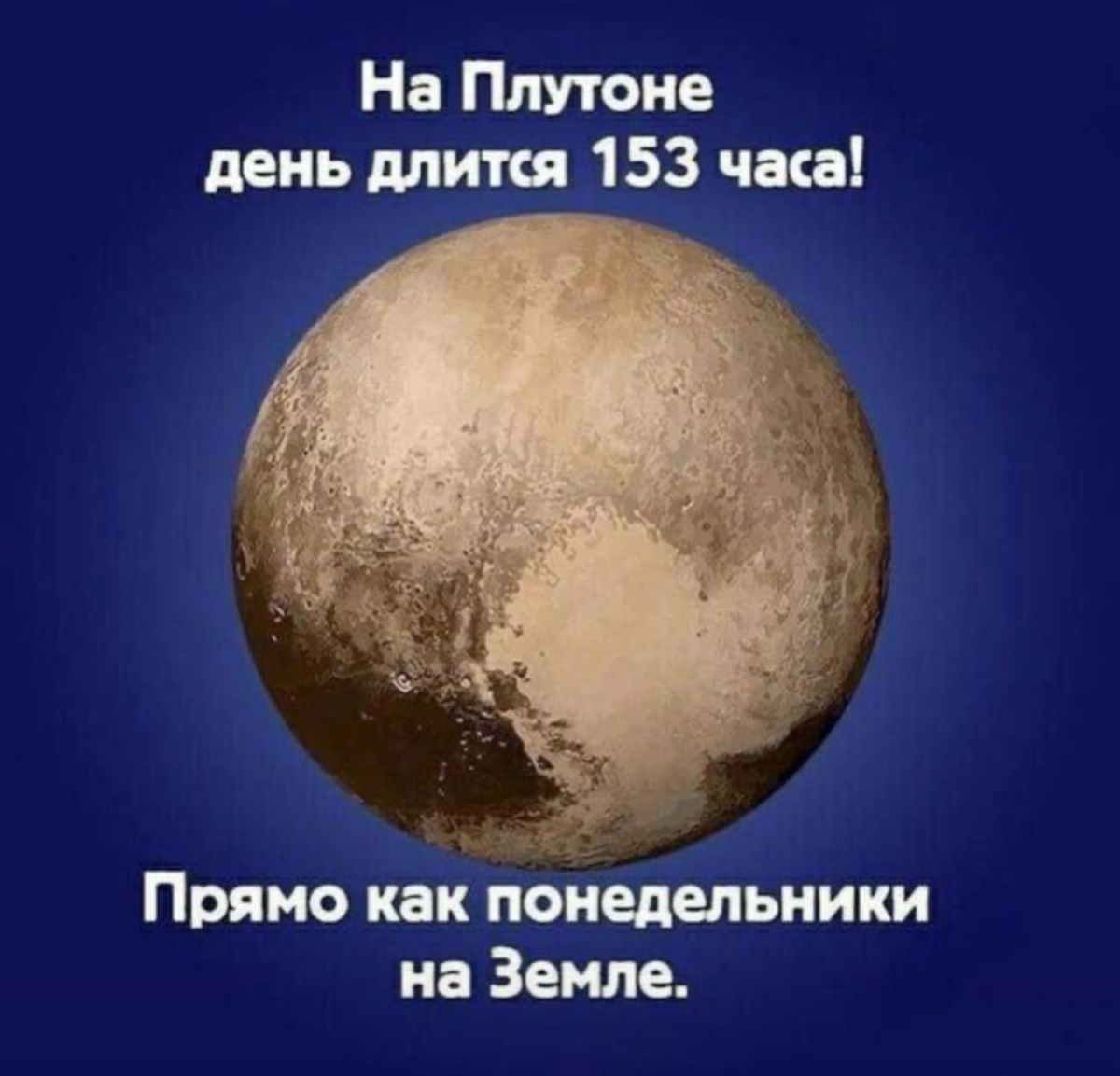 Понедельник - день тяжелый😅 | Сетка — социальная сеть от hh.ru