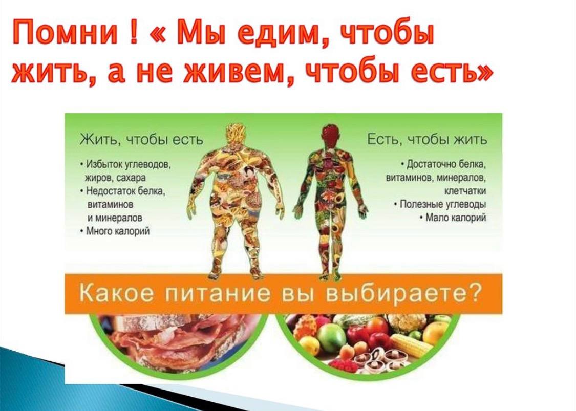 Для тех кто только на пути своего похудения:
В первую очередь необходимо наладить свой рацион питания.
Как говориться:
Мы то, что мы едим
Правильное питание – это основа здорового образа жизни | Сетка — социальная сеть от hh.ru